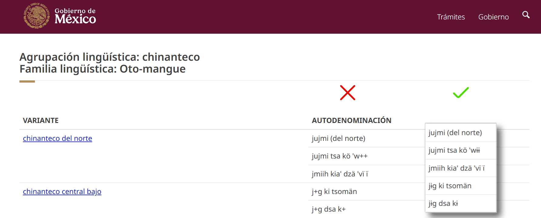Comparación visual entre el uso de + y el carácter correcto ɨ en un texto